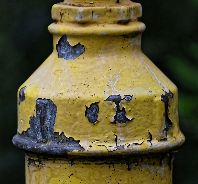 Water Pipe Leak