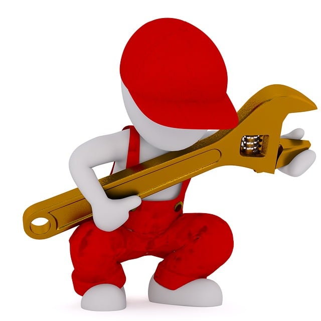 Professional Plumber