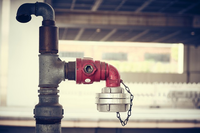 Water Pipe Leak