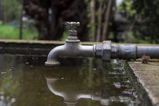 Water Pipe Leak