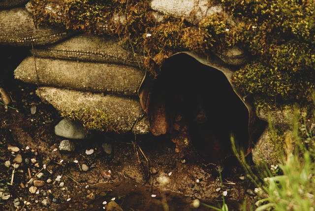 Water Pipe Leak