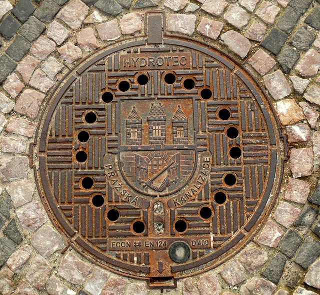 7 Clear Signs Your Drain Is About to Back Up