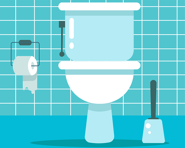 clogged Toilet