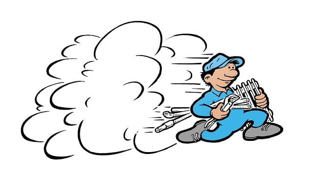 Professional Plumber