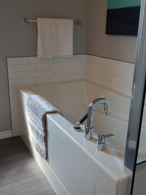 Eco-Friendly Shower Heads: Simple Installation for Long-Term Water Savings