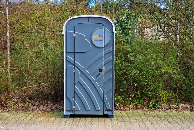 Running Toilet