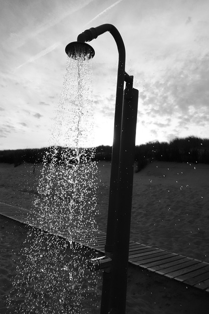 Shower Head