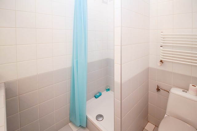Shower Head