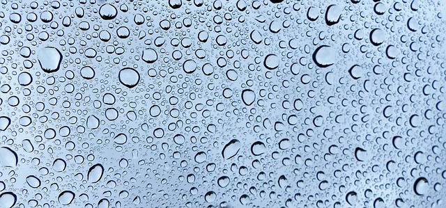 Drain Cleaners