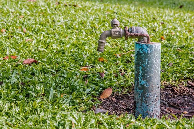 How to Fix a Leaky Faucet: Common Causes & Easy Solutions