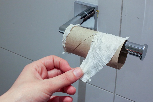 Running Toilet