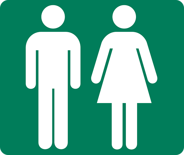 Running Toilet