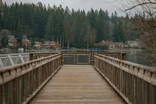billiard Bridge