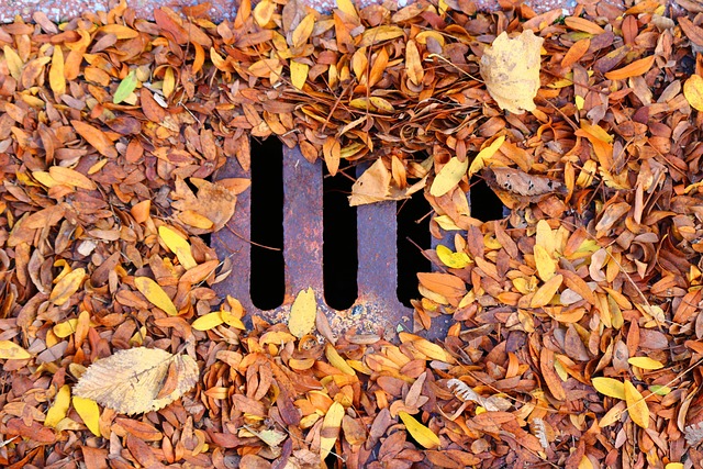 clogged-drain-640x480-21115519.jpeg