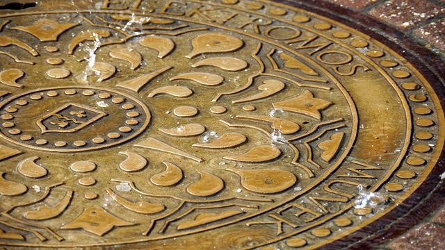 Clogged Drain