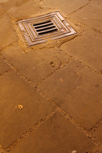 Clogged Drain