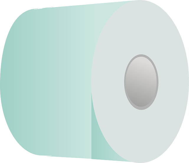 clogged Toilet