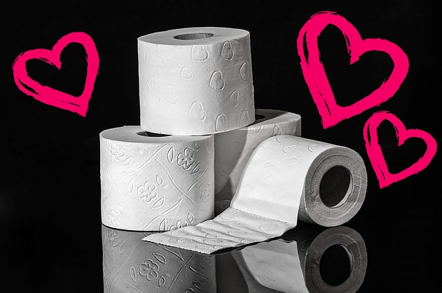 Unclog Your Toilet: Quick Fixes Before Calling a Plumber