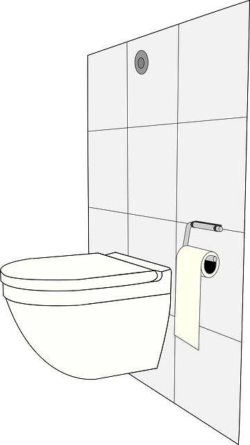 clogged Toilet