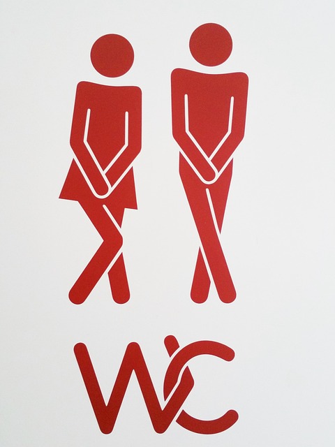 clogged Toilet