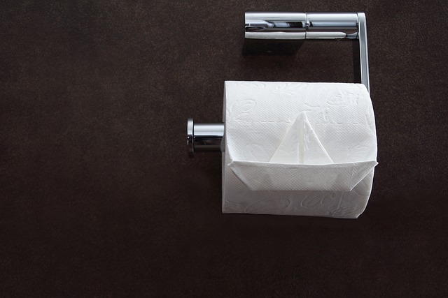 clogged Toilet