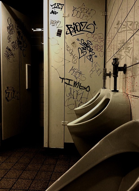 clogged Toilet