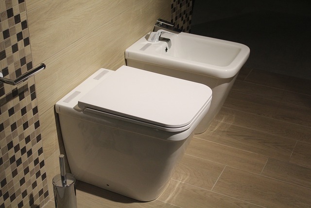 clogged Toilet