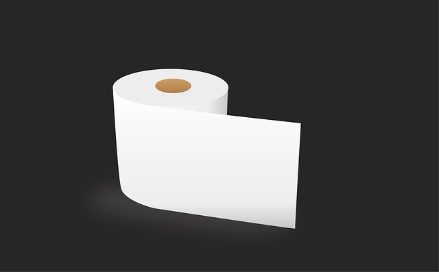 clogged Toilet