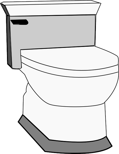 clogged Toilet