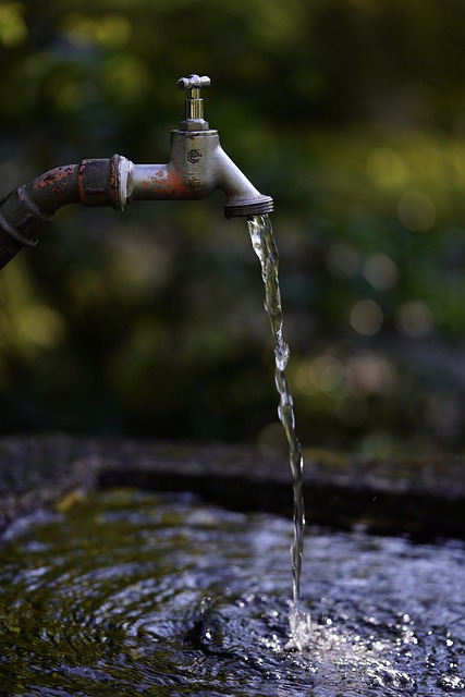 Drain Cleaners