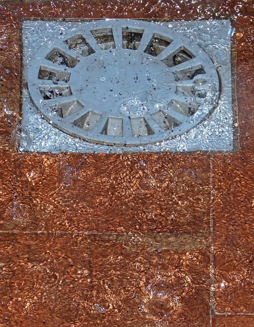 Drain Cleaners