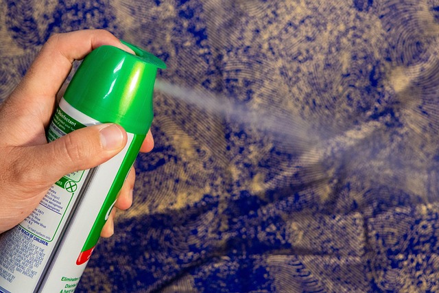 Drain Cleaners