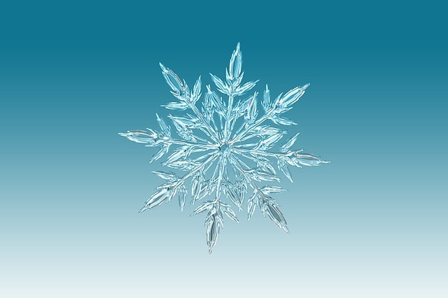 Frozen Pipes