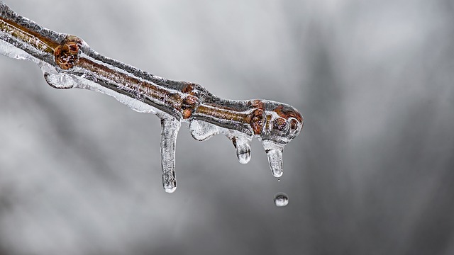 Frozen Pipes