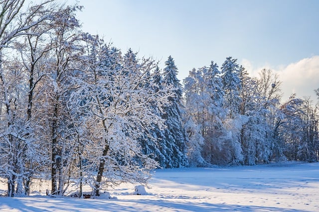Frozen Pipes