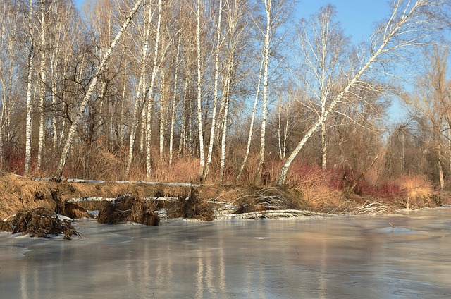 Frozen Pipes