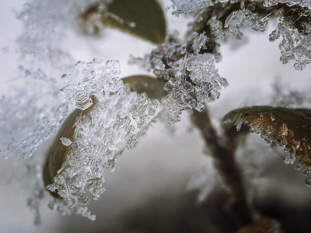 frozen-pipes-640x480-71662101.jpeg