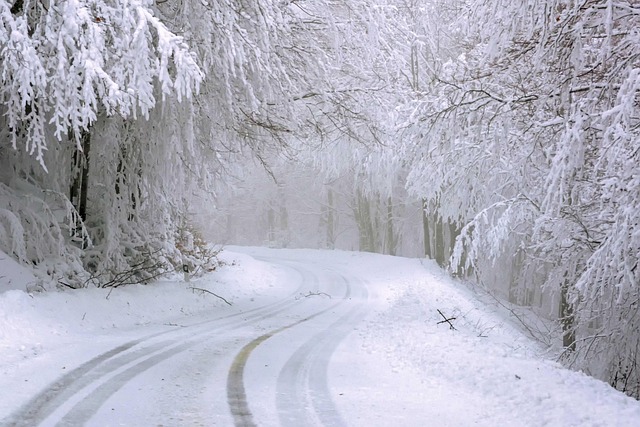 Winter Travel? Prepare Now to Avoid Frozen Pipes at Home