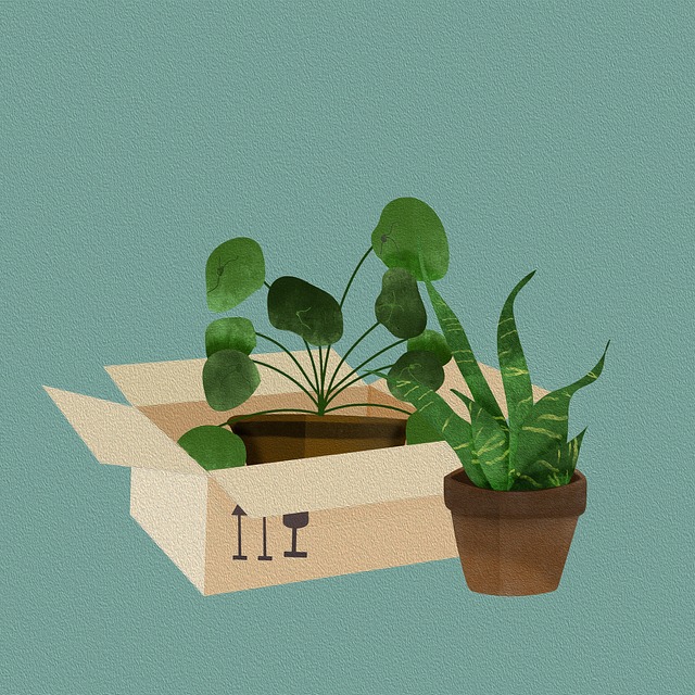 moving-company-640x480-89682136.jpeg