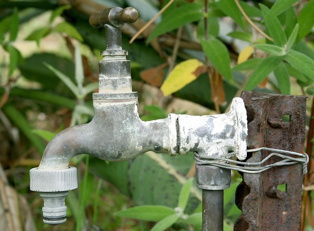 Plumber