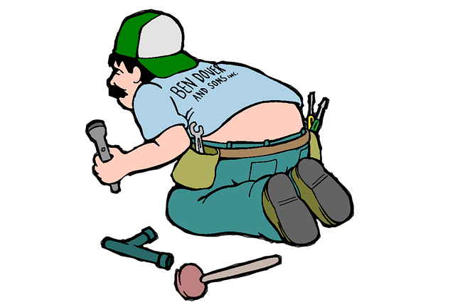 Professional Plumber