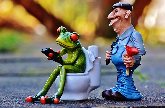 Professional Plumber