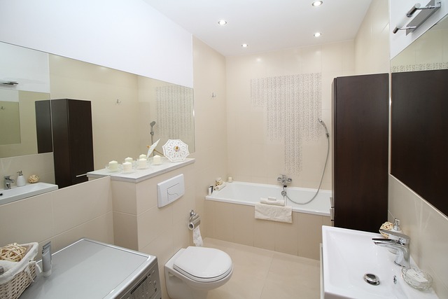 Running Toilet