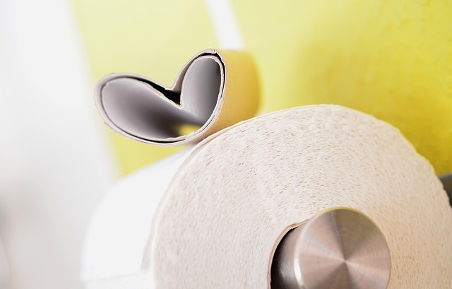 Running Toilet