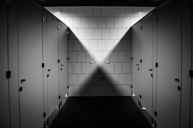 Running Toilet