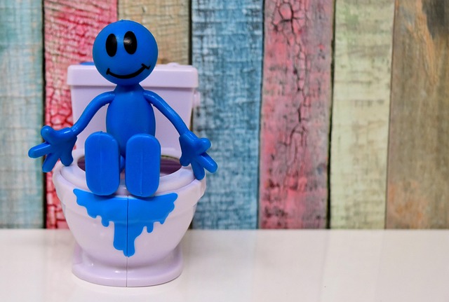 running-toilet-640x480-30910239.jpeg