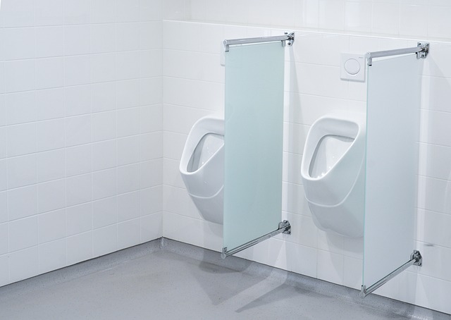 Running Toilet