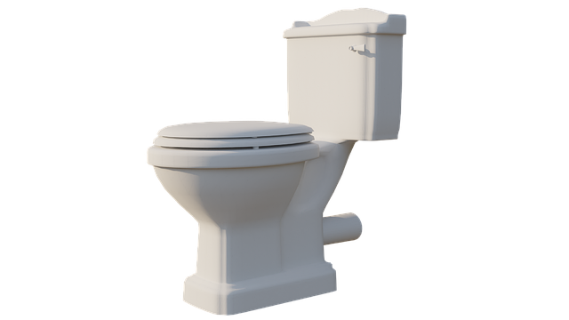 Running Toilet