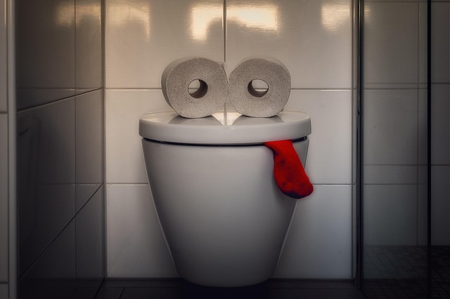 running-toilet-640x480-53315912.jpeg
