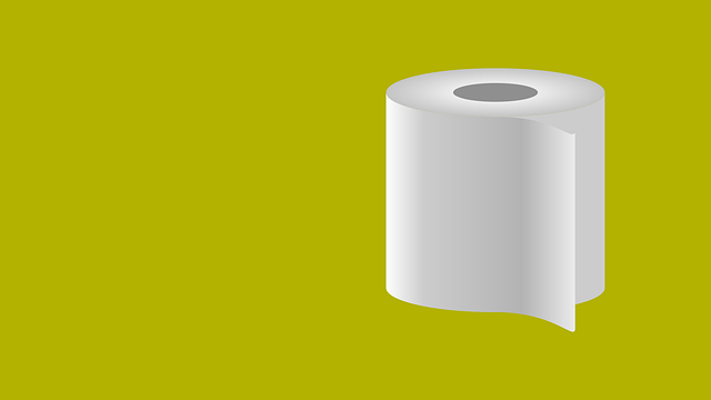 How to Stop a Running Toilet: Mastering Flapper Valve Fixes